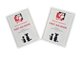 Digital Booklet Printing Services , Magazine Printing Services For First Aid Book